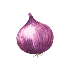 Watercolor fresh red onion