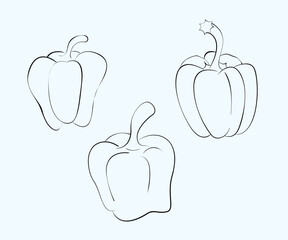 capsicum line art, Capsicum Icon, Capsicum Icon vector, Capsicum vegetable line drawing, Capsicum set