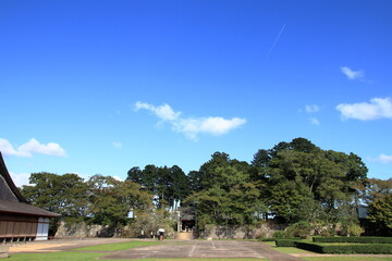 Obraz premium 丹波