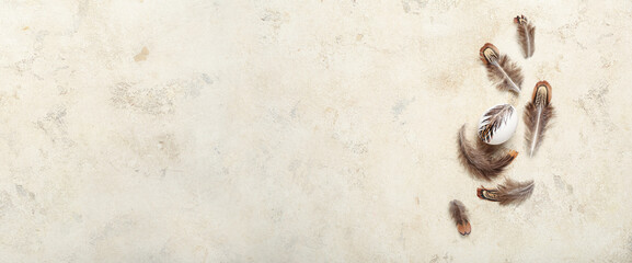Egg and quail feathers on grunge background with space for text. Easter celebration
