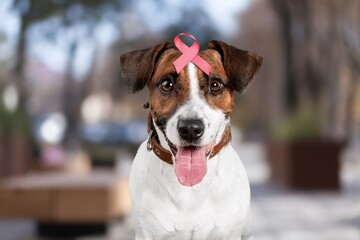 Happy dog with pink ribbon for prevent breast cancer day