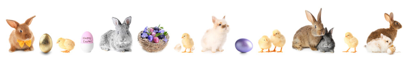 Obraz premium Easter set with cute animals and painted eggs isolated on white