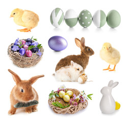 Easter set with cute animals and painted eggs isolated on white