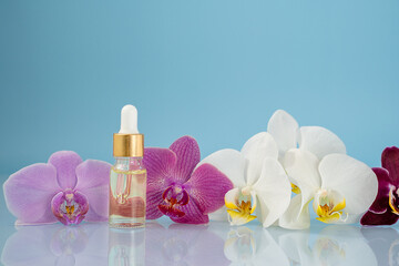 beauty oil with orchid flowers, spa, space for text, self care concept