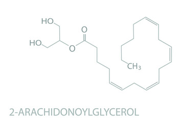 2-Arachidonoylglycerol molecular skeletal chemical formula.	