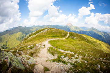 Path Mountain Hike Pure Nature