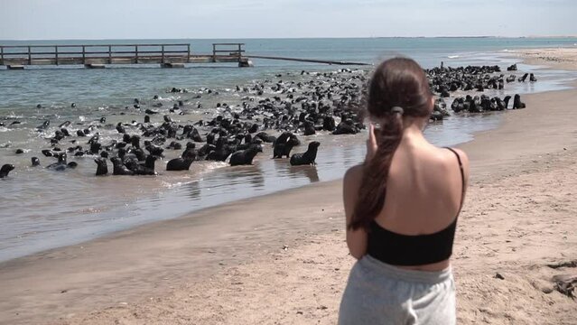 teenager girl take a photo a seal colony