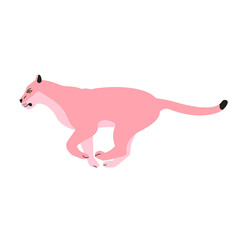 Vector flat running pink lioness isolated on white background