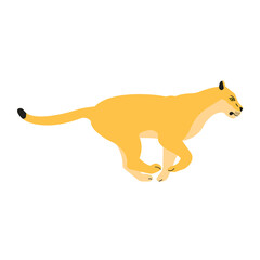 Vector flat running lioness isolated on white background