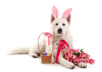 Fototapeta na wymiar Cute dog with bunny ears, flowers and Easter basket isolated on white