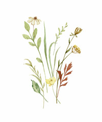 Watercolor vector bouquet with green forest foliage isolated on a white background.