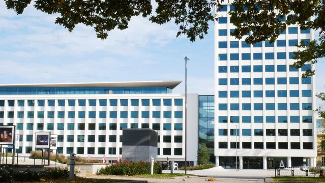 Modern office building with tree branches and leaves in foreground, static shot