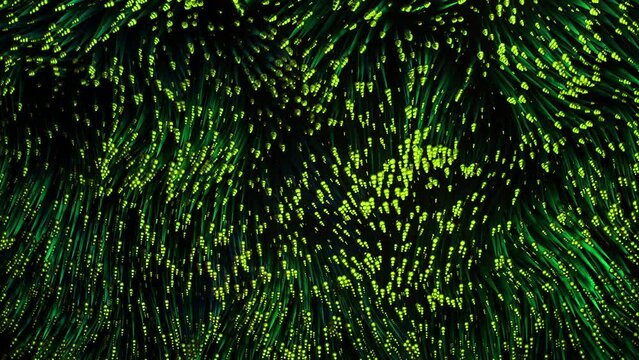 Moving 3d algae. Design. Beautiful wavy movements of algae lines. Bright lines move like algae on bottom of sea