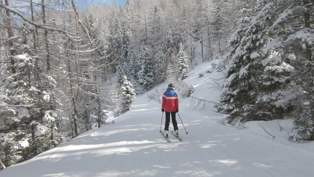 Female skiing in the forest
