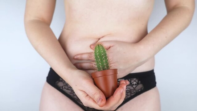 Close-up of a woman body. A cactus against the background of internal organs symbolizes female pains. Uterus, womb and ovaries. Concept photo about feminine intimate health. 