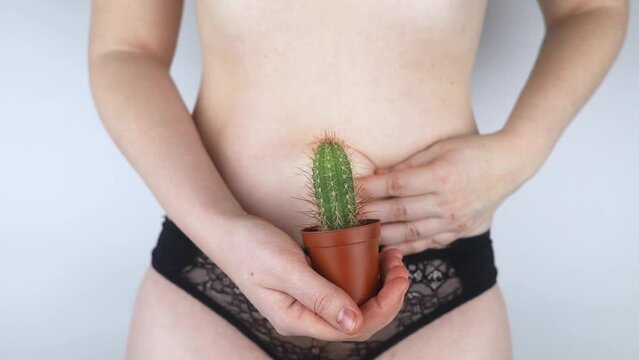 Close-up of a woman body. A cactus against the background of internal organs symbolizes female pains. Uterus, womb and ovaries. Concept photo about feminine intimate health. 