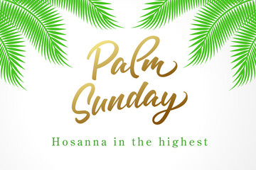 Fototapeta na wymiar Palm Sunday, Hosanna in the highest. Christian greeting card with calligraphy and palm leaves. Bible vector illustration