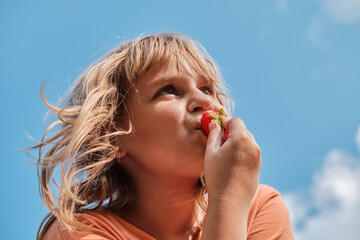 Blonde girl 10 - 11 years old eats ripe strawberries. Healthy food. The child eats berries in the summer outdoors.