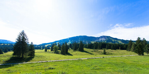 Fototapeta na wymiar Panoramic view of a idyllic landscape with a mountains and blue sky in the Bavarian Alps against blue sky. Tannheimer Tal, Reutte, Austria