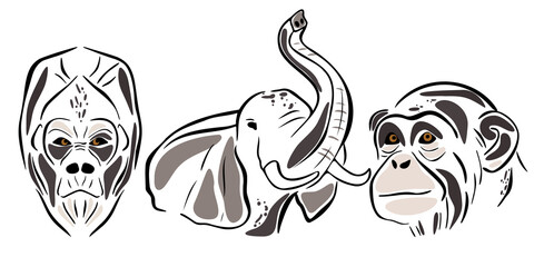 
Savanna wild animals set. Abstract African animal. Chimpanzee, elephant, gorilla silhouette. Vector Illustration