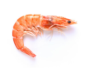 One shrimp on white background.