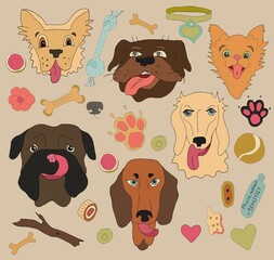Set of cartoon dogs. Funny different breeds, loyal and friendly pets. Flat vector illustration isolated