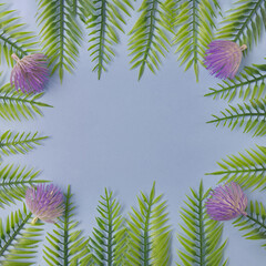 Fototapeta na wymiar Green leaves with flowers on a light blue background with copy space. Flat lay minimal scene.