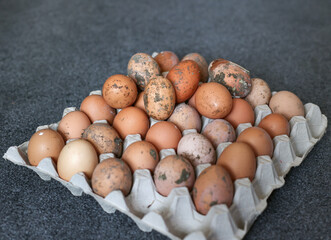 dirty farm shop eggs covered in mud and feathers in a carton