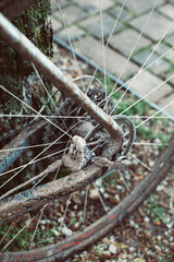 Dirty Cyclocross Gravelbike