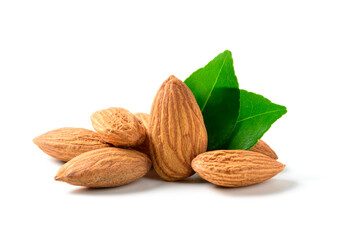 Almonds nut with leaves isolated on white background. They are highly nutritious and rich in healthy fats