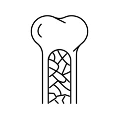 bone marrow line icon vector illustration - obrazy, fototapety, plakaty
