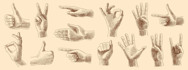 Sketches collection of hand gestures, signs and symbols using fingers. Vintage images, hand-drawn, vector. Gestures: pointer, class, o'key, peace, cool, one, two, three, four, five.