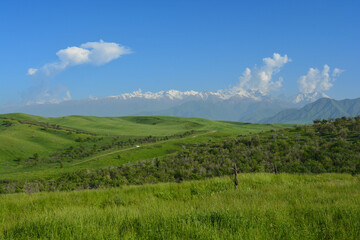 landscape with road through green field and blu sky and mountains with snow and with a car