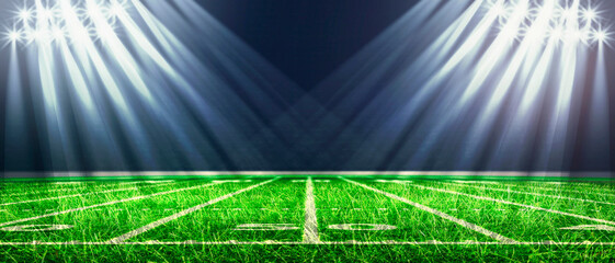 Perspective of football field. Football stadium with white lines marking the pitch. Perspective elements.Ragby football field with white lines marking the pitch. 3d illustration.