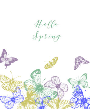 Hello Spring card. Vector background with butterflies