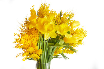 Mimosa, daffodil and tulip flowers bouquet on white background. Easter, Mothers Day, Women's day...