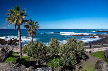 Fototapeta na wymiar View on colorful Playa Jardin, palm trees and black lava rocks in Puerto de la Cruz, Tenerife, Canary islands