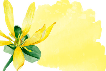 Yellow blooming lily watercolor background. Template for decorating designs and illustrations.	
