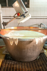 Process of making wheels of parmigiano-reggiano parmesan cheese on small cheese farm in Parma, Italy