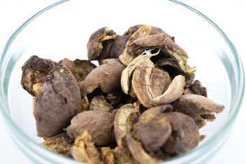 Baheda, Terminalia Belerica, bedda nuts over isolated white