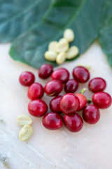 Red ripe arabica coffee berries, green coffee beands and leaves