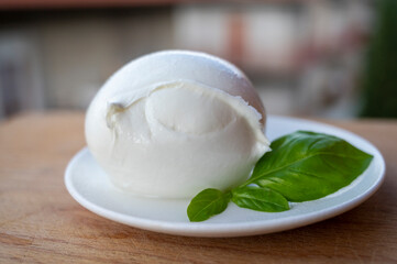 White ball of Italian soft cheese Mozzarella di Bufala Campana and fresh green basil