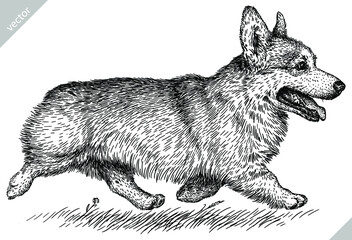 black and white engrave isolated corgi vector illustration