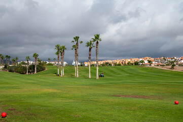Green lawn grass on year-round outdoor golf course located nead yacht harbor on Tenerife, Canary...