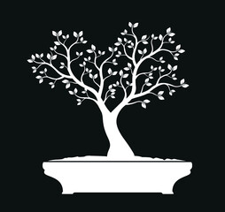 White Bonsai Tree on black background. Vector outline Illustration.