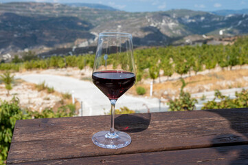 Wine industry of Cyprus island, tasting of red dry wine on winery with view on vineyards and south slopes of Troodos mountain range.