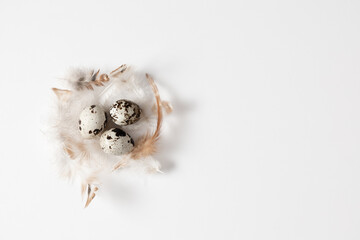 Easter background. Quail eggs and feathers on white background. Easter holiday concept. Flat lay, top view, copy space