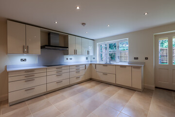 Modern kitchen cabinets