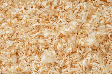 Wooden background with a pattern of rings. Sawn wood background with beautiful wood texture....