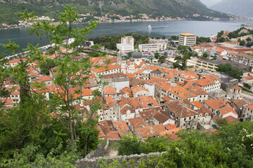 Top view of old city houses and sea on a summer day. Kotor. Montenegro.